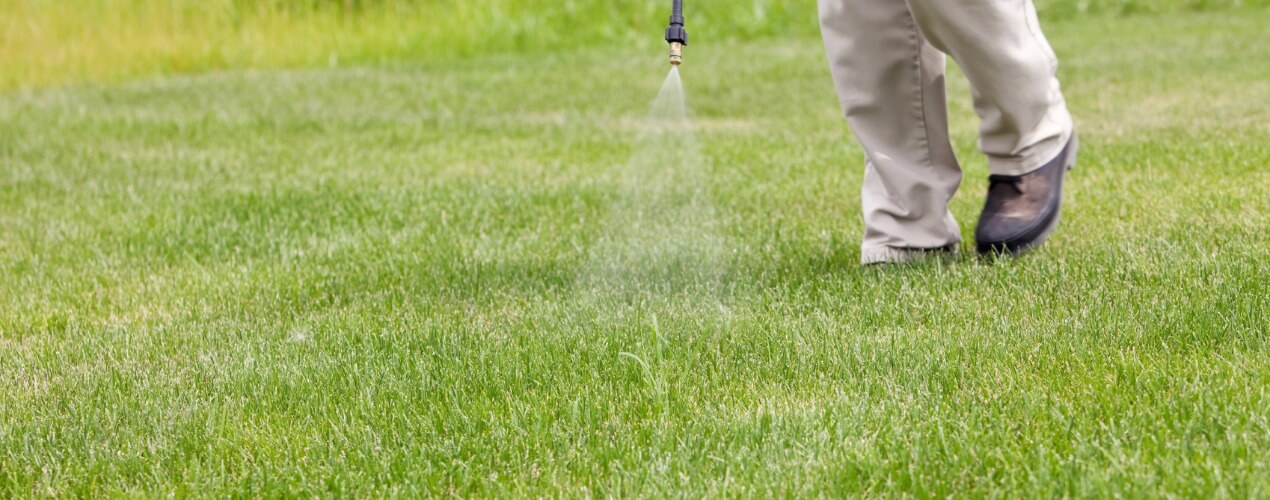 Weed Control Company in College Station, TX